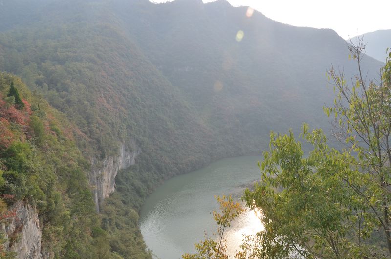 dsc_0579a.jpg