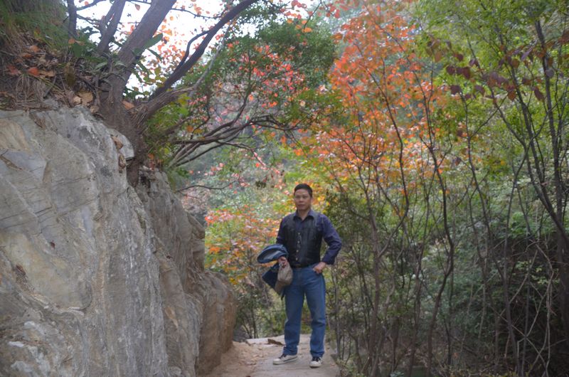 dsc_0710a.jpg