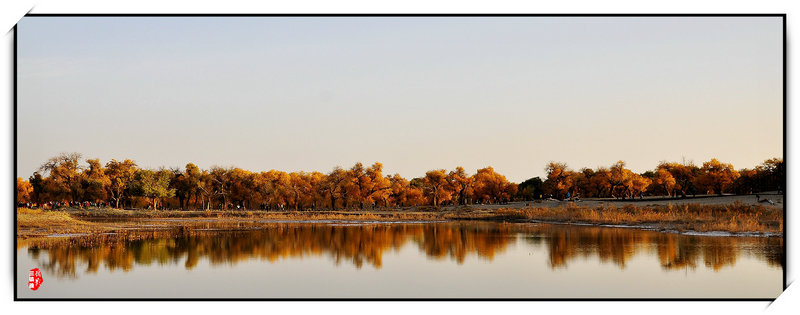 _dsc5796__.jpg