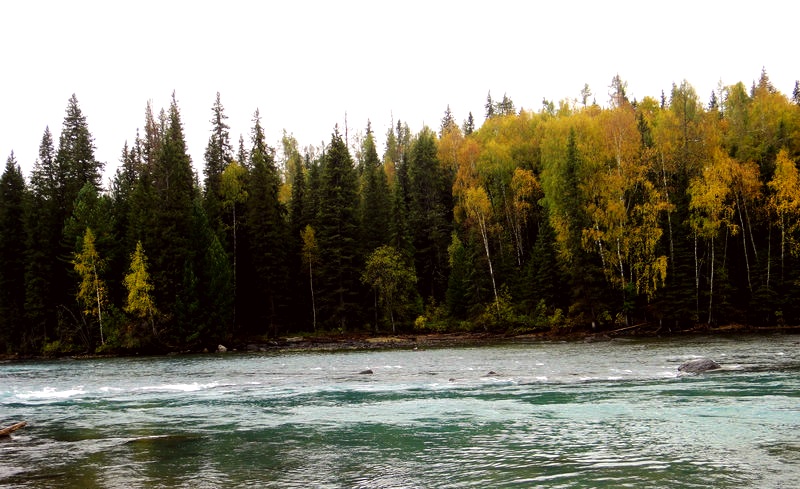 dsc00298_1.jpg