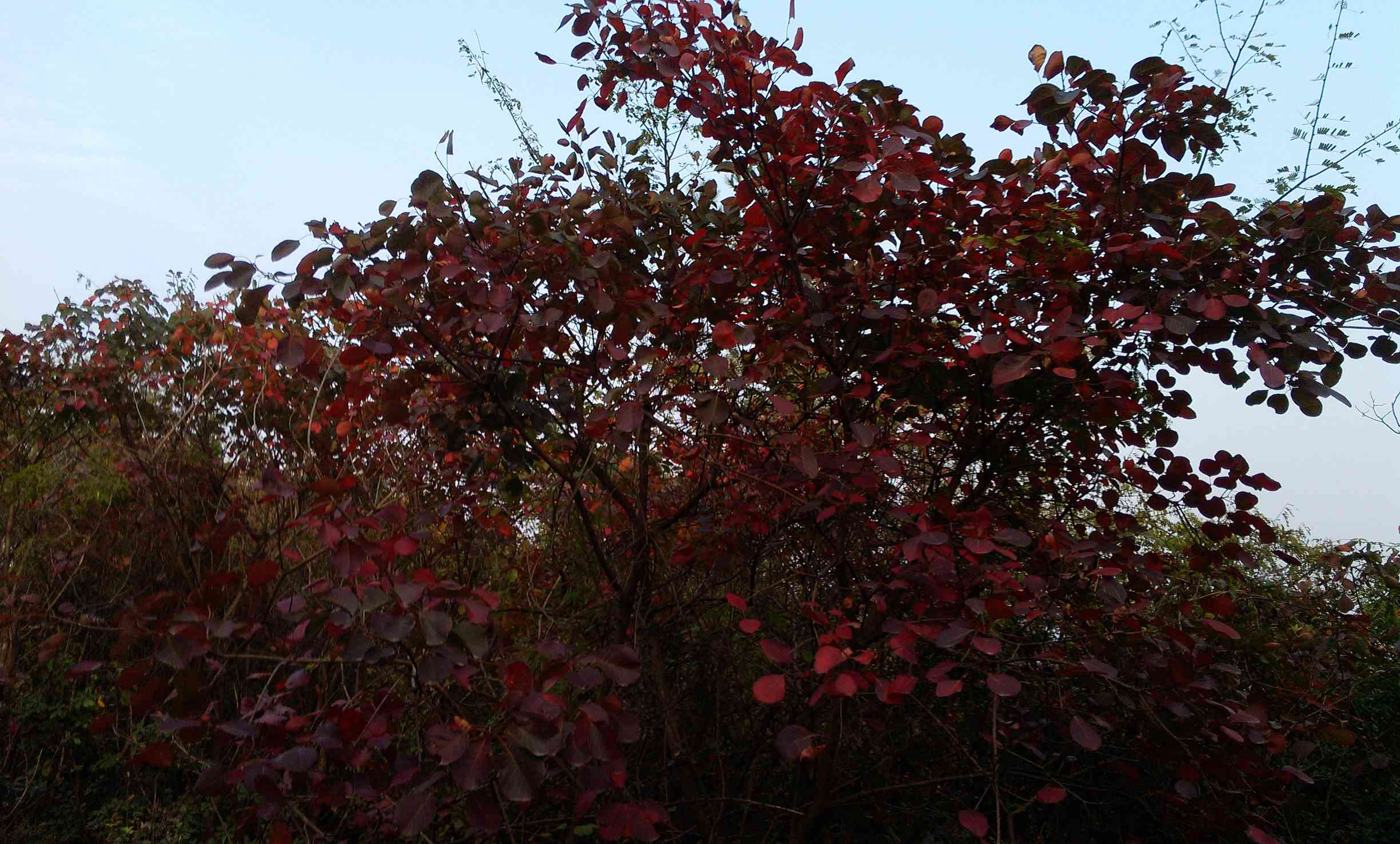 img_20131026165002.jpg