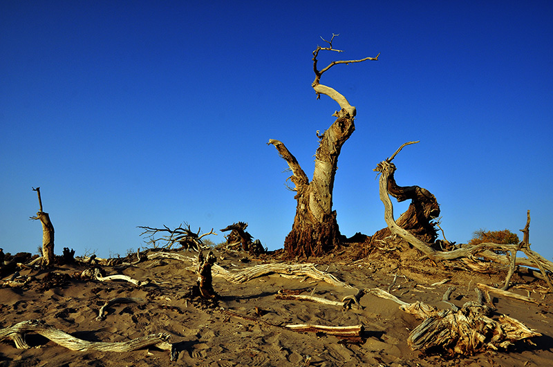 dsc_0052.jpg