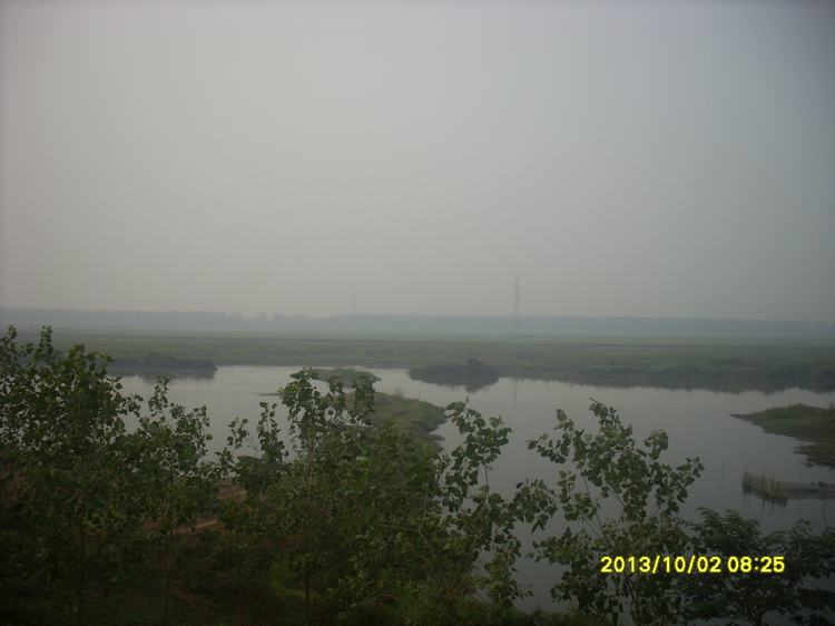 sl384643.jpg