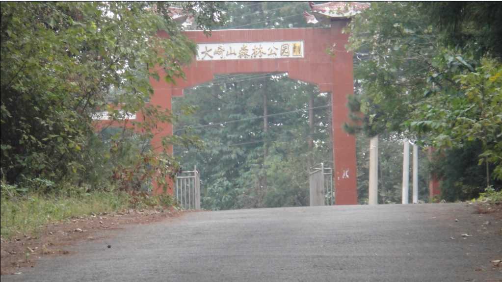 110.jpg