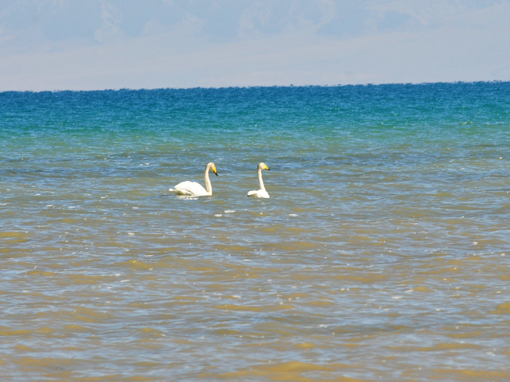 dsc_3811.jpg