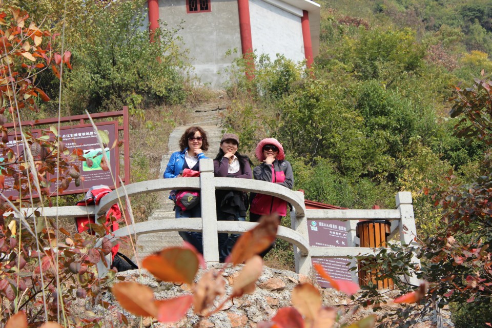 qqͼƬ20131031221009.jpg
