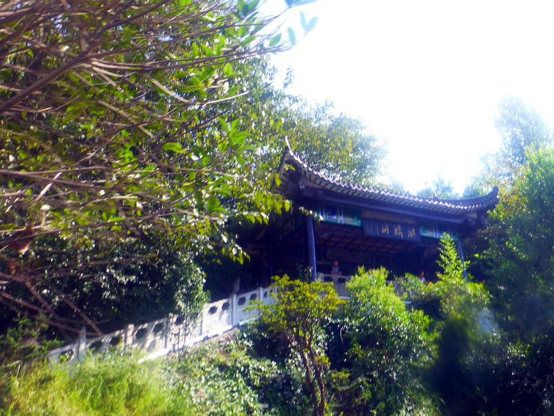 p1110206.jpg