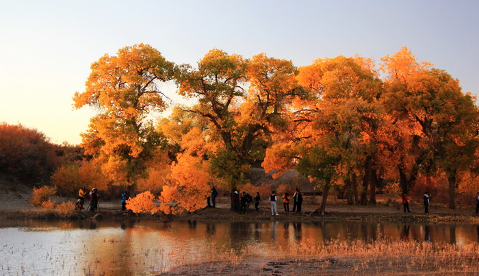 20131030162839243541.jpg