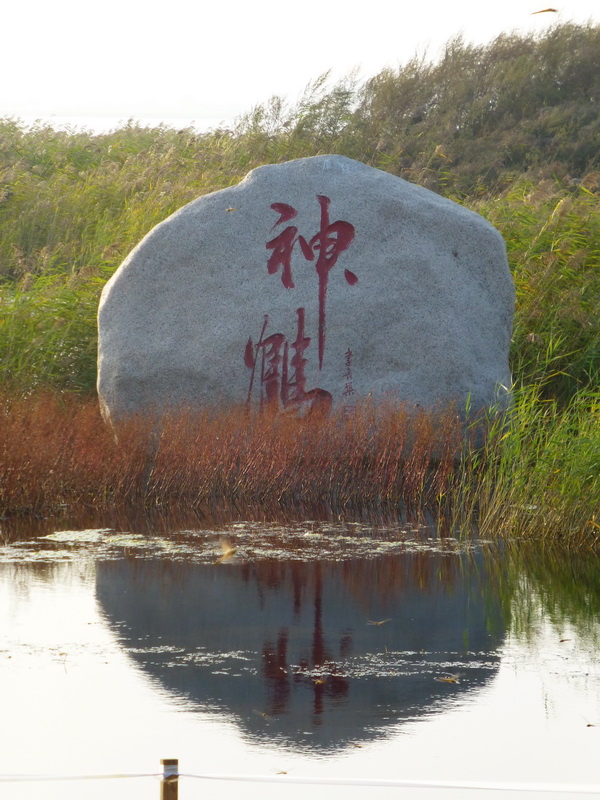 p1120420.jpg
