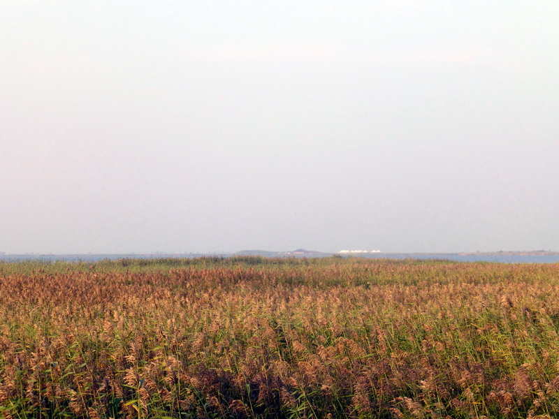 p1120436.jpg
