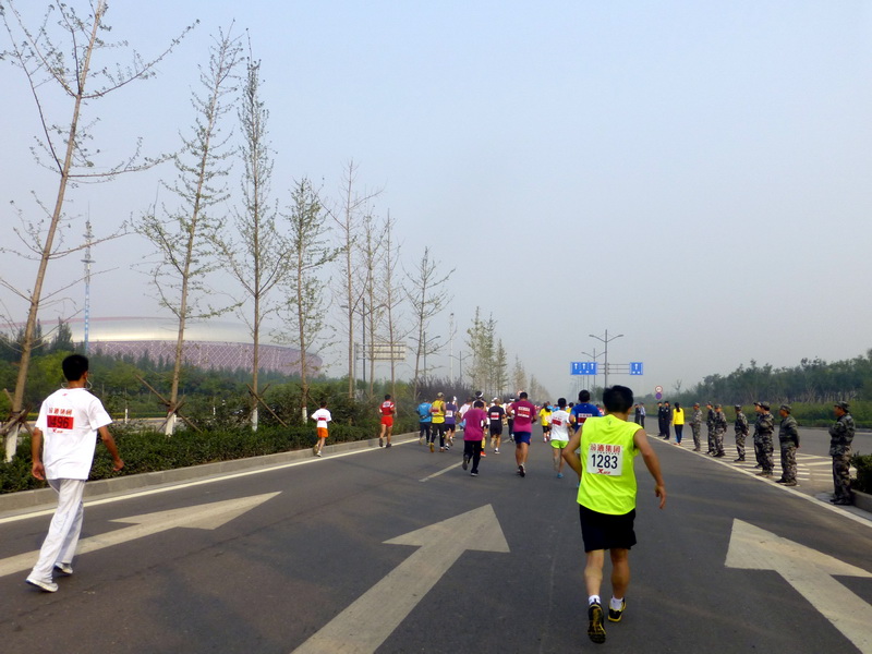 p1130131.jpg
