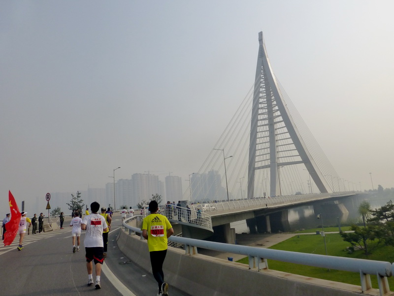 p1130132.jpg