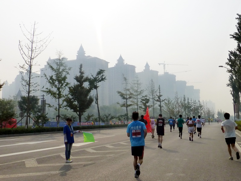 p1130138.jpg