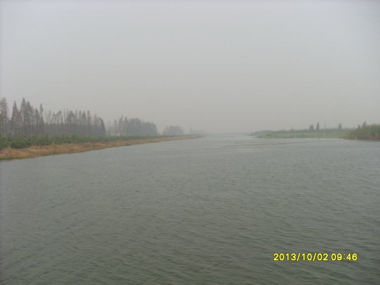 sl384657.jpg
