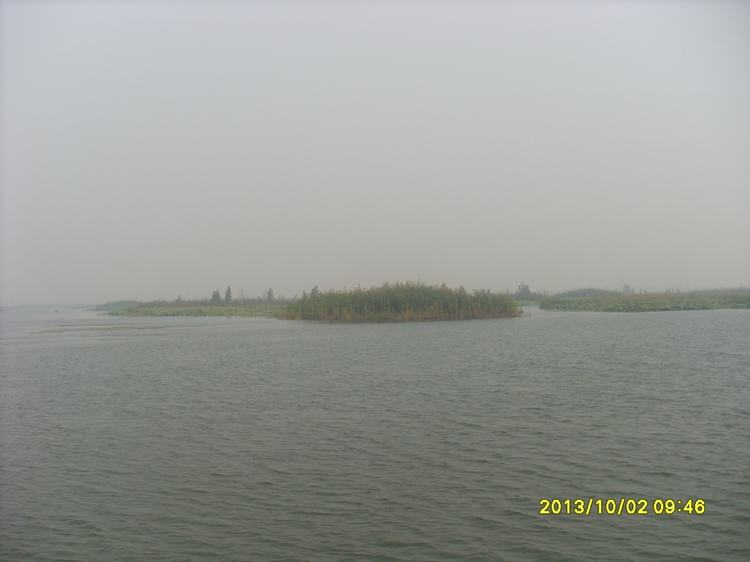 sl384656.jpg