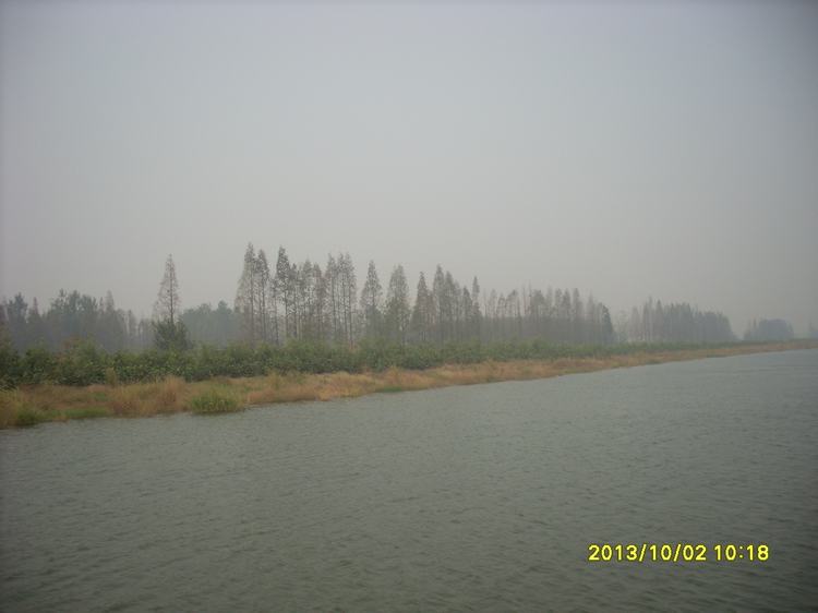 sl384661.jpg