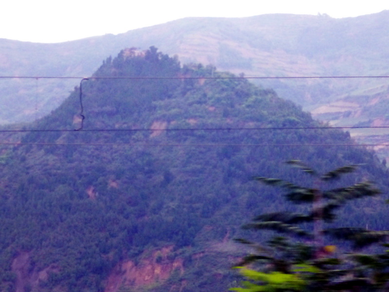 p1100969.jpg