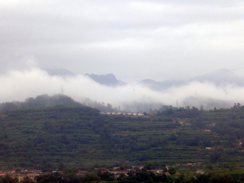 p1100984.jpg