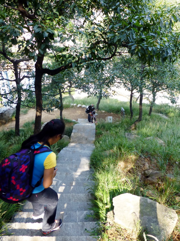 p1110996.jpg
