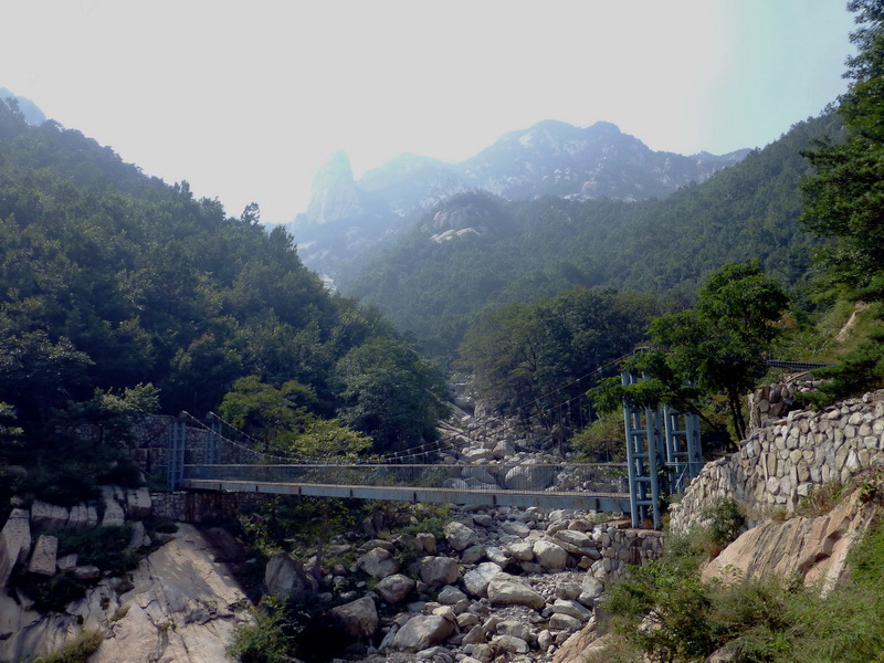 p1120007.jpg
