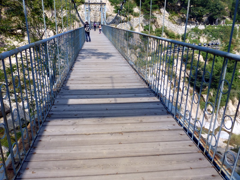 p1120002.jpg