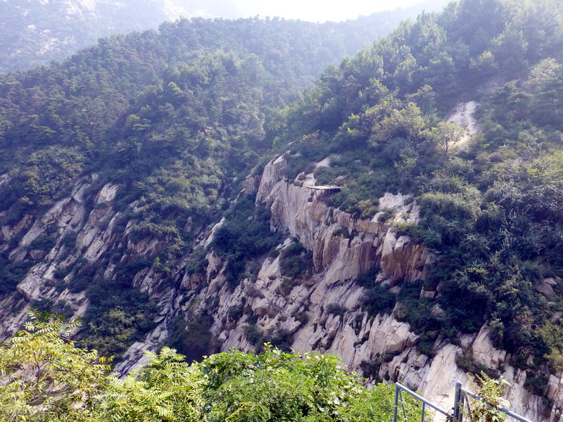 p1120010.jpg