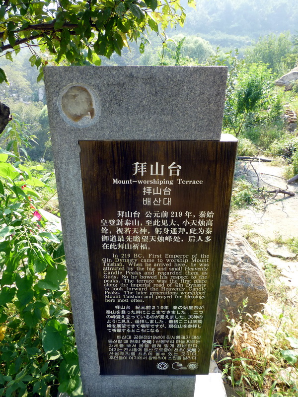 p1120025.jpg