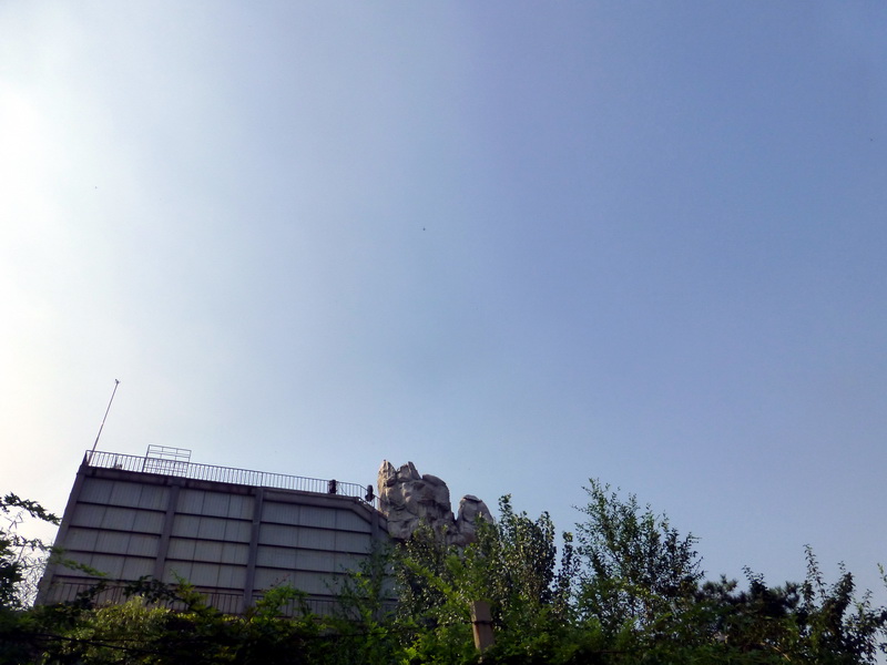 p1120033.jpg