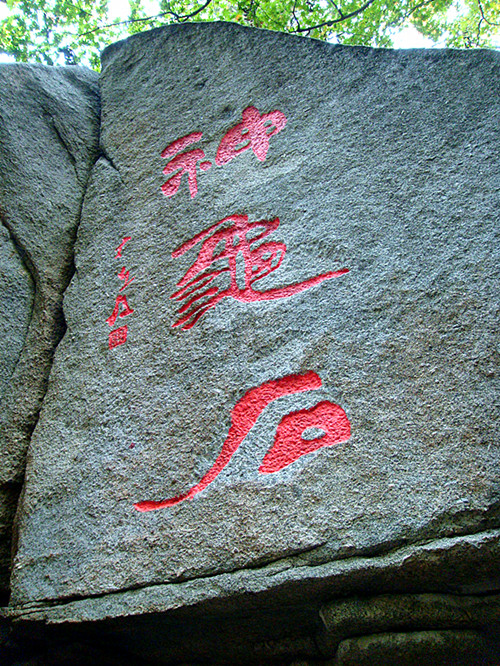 dsc01183_.jpg
