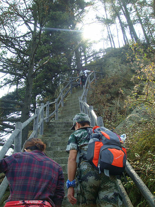 dsc01244_.jpg