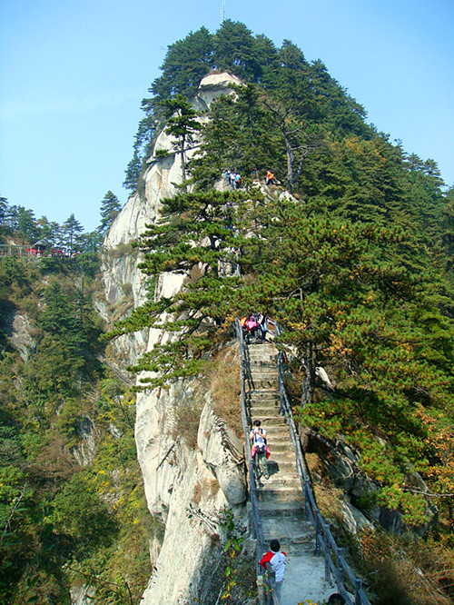 dsc01247_.jpg