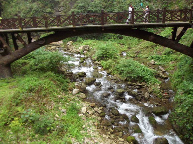 dscf4274_.jpg