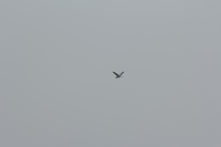 img_6486.jpg