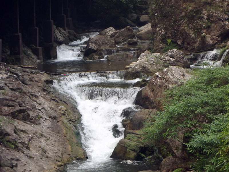 dscf4301_.jpg
