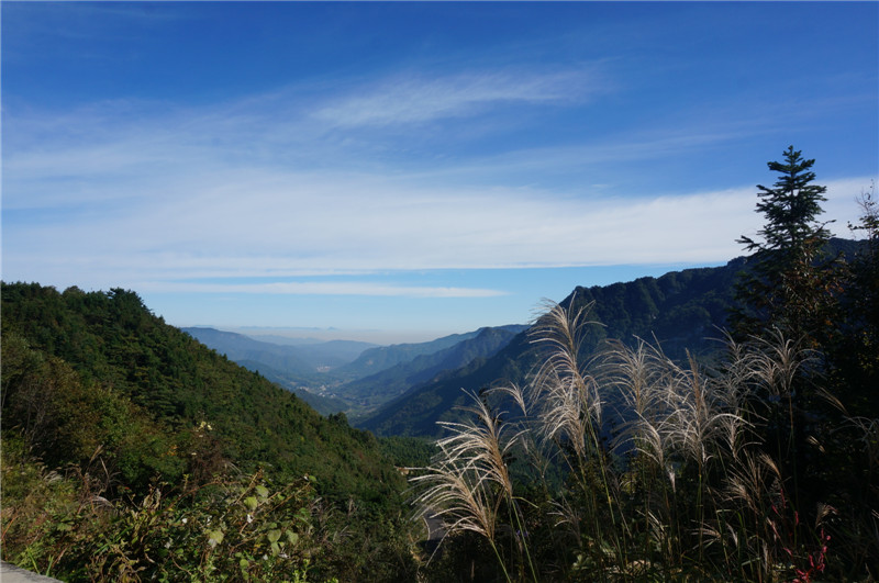 dsc06284.jpg
