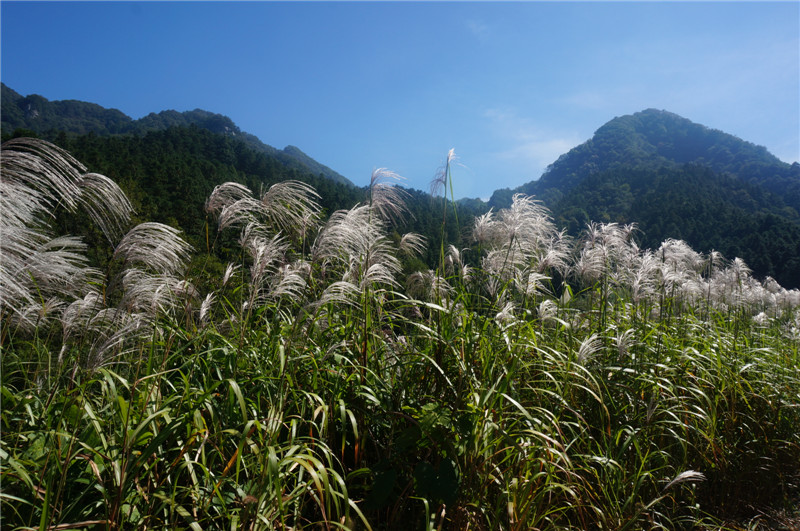 dsc06447.jpg