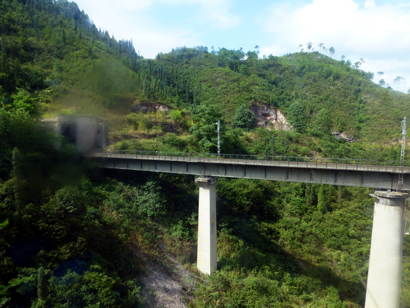 p1110021.jpg