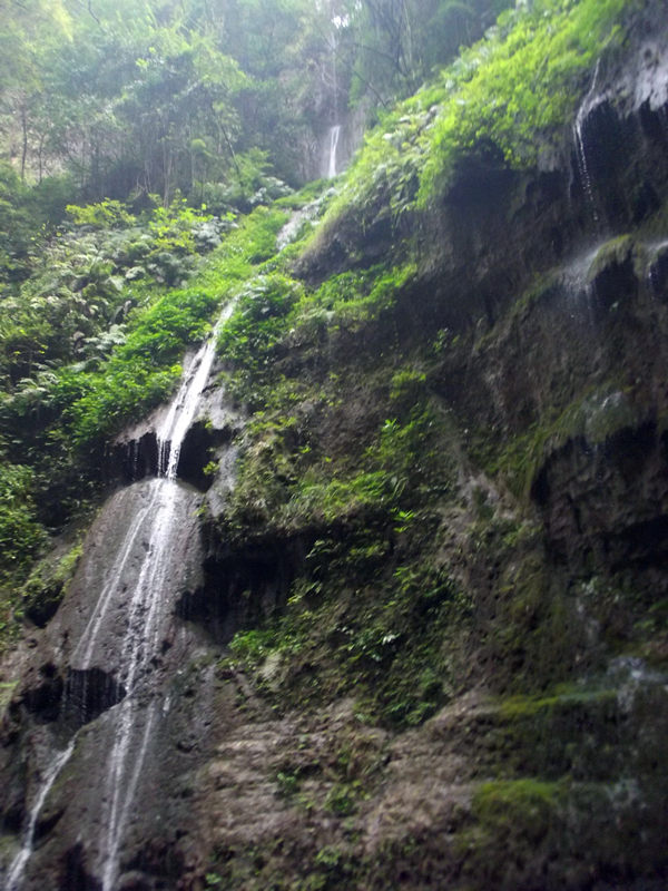 dscf4340_.jpg
