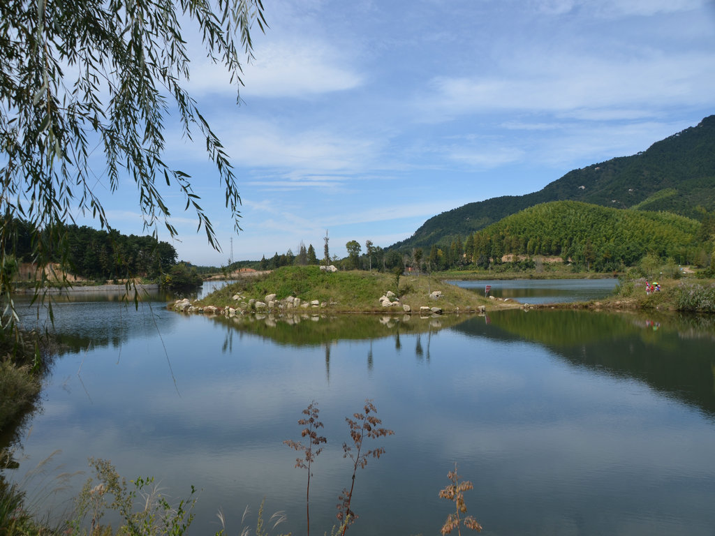 dsc_0836.jpg