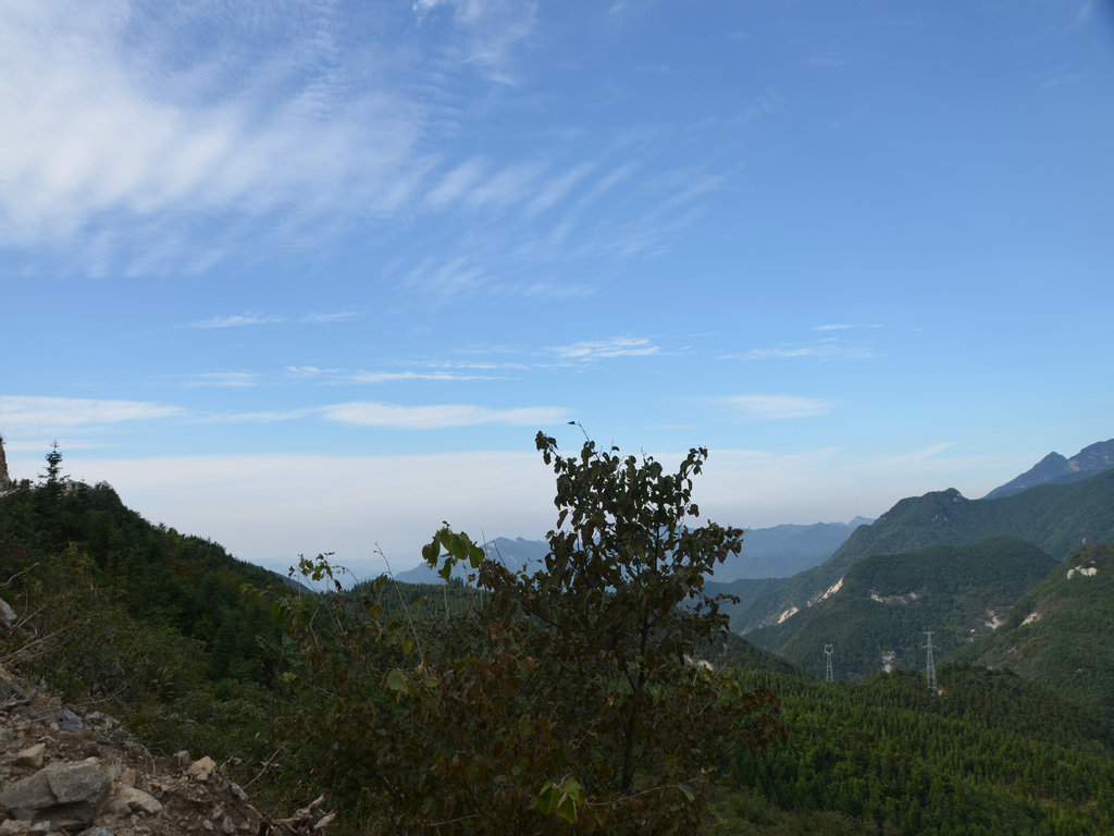 dsc_0002.jpg