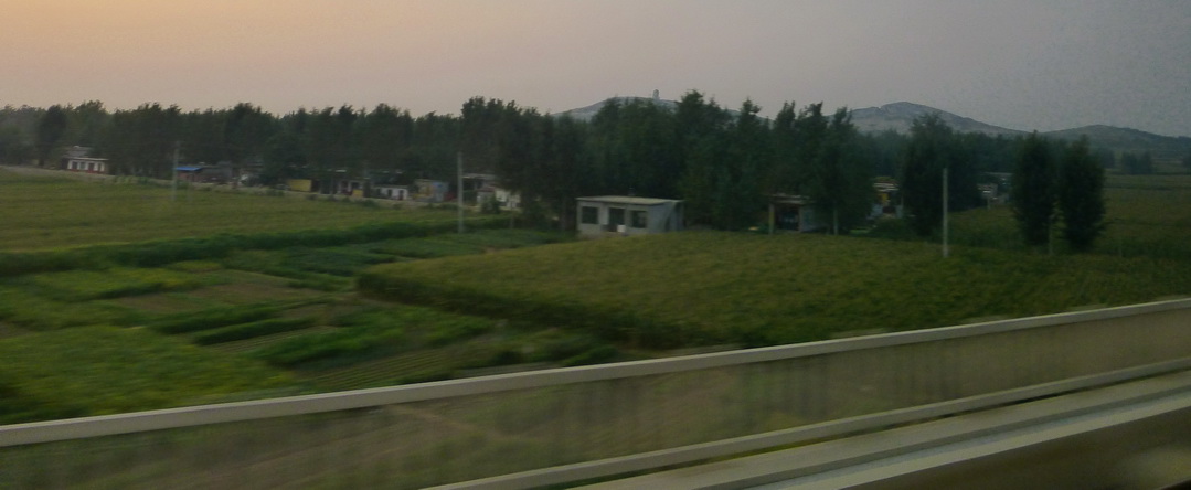 p1120064.jpg