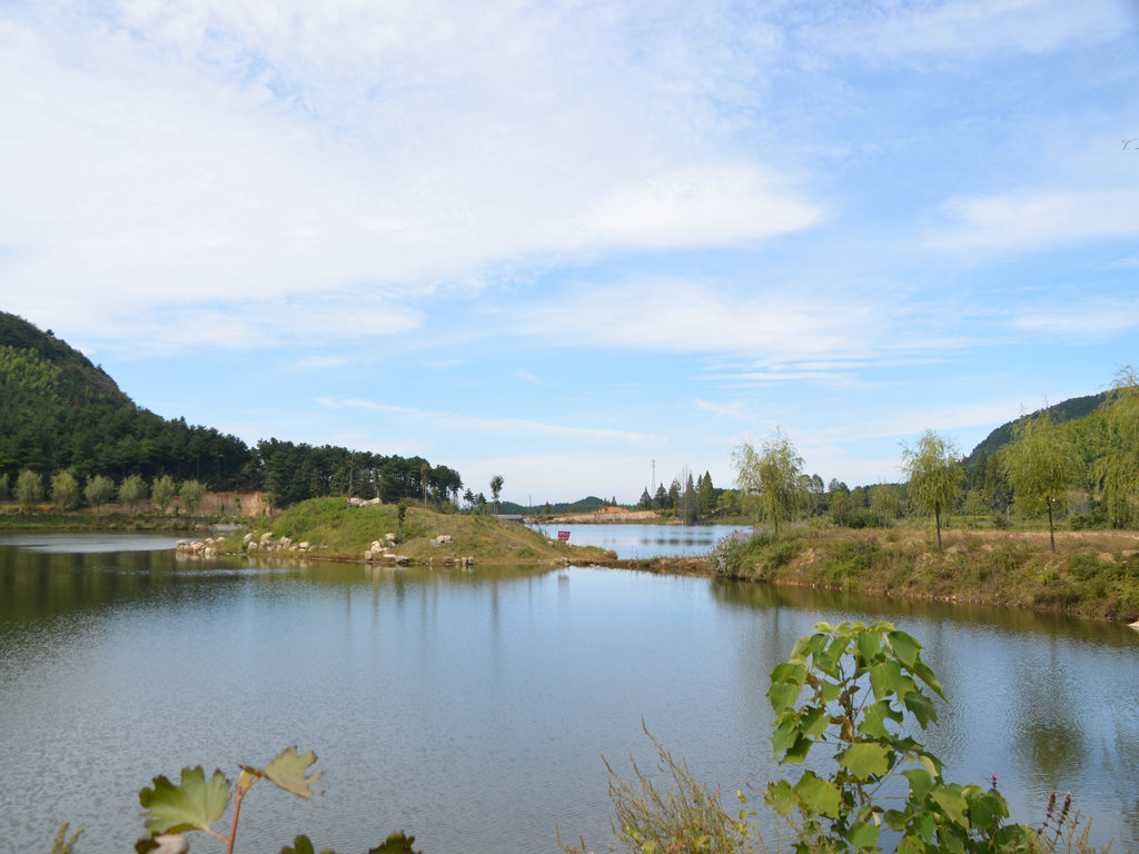dsc_0828.jpg