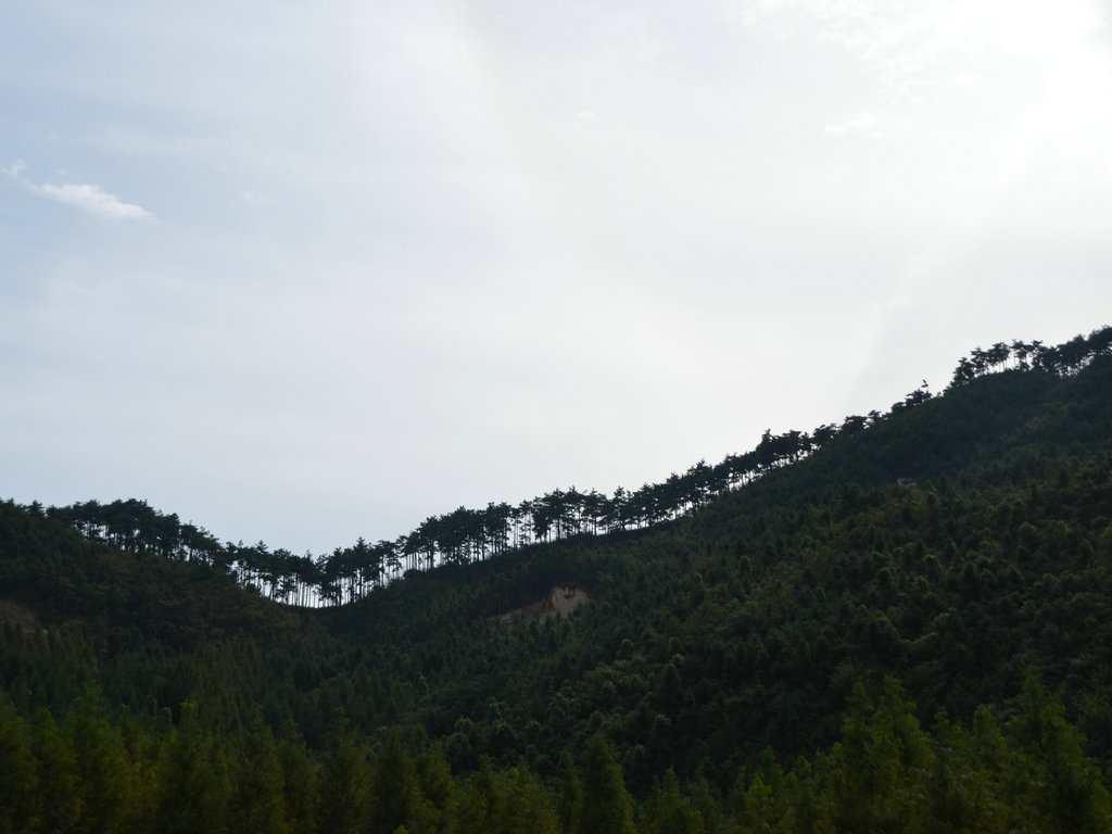 dsc_0945.jpg