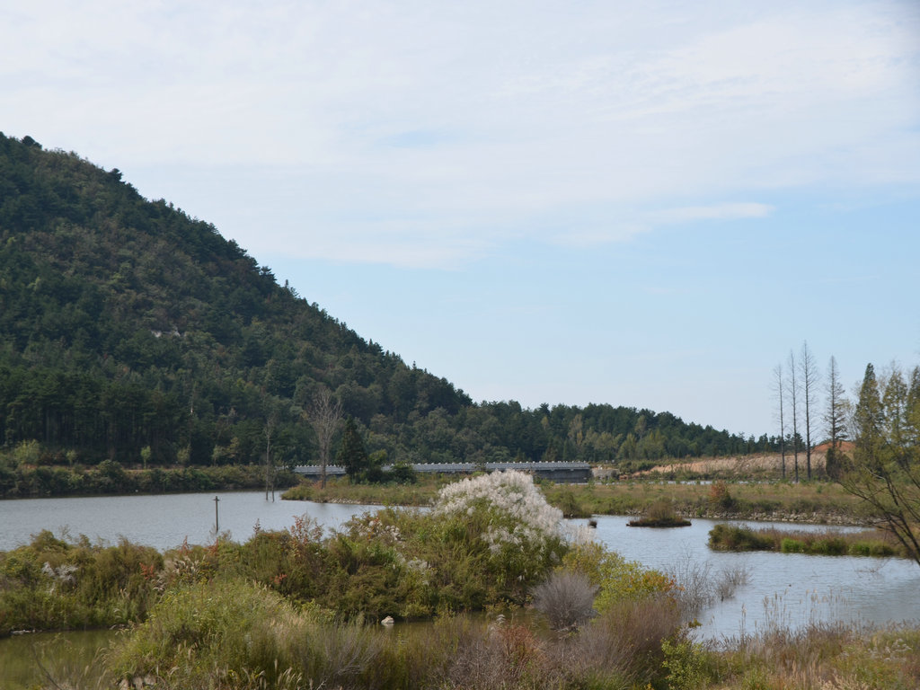 dsc_0784.jpg