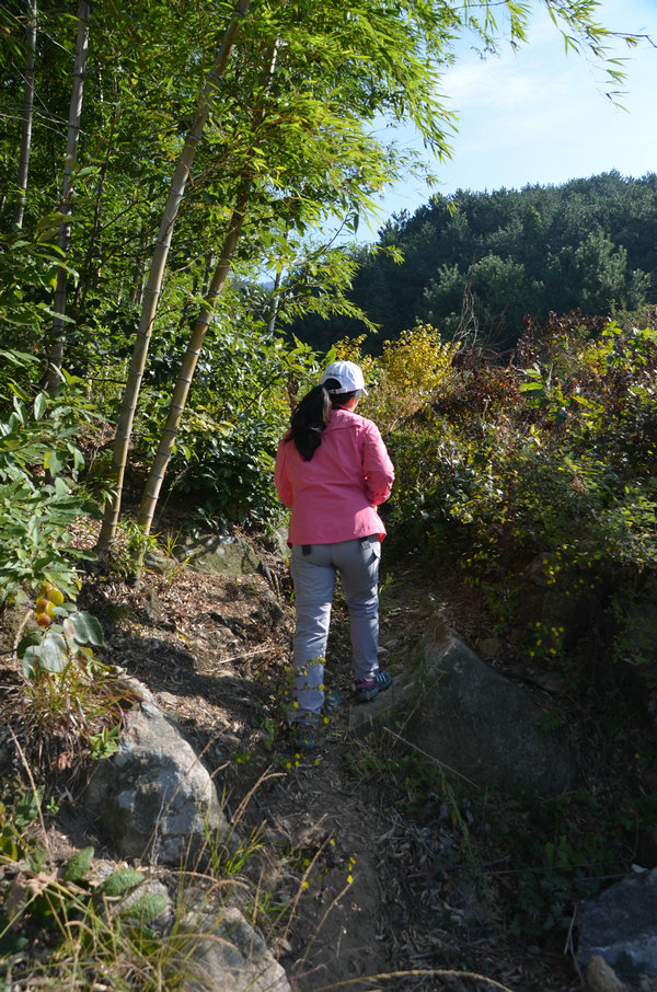 dsc_0355.jpg