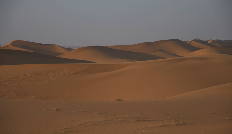 dsc_2147_С.jpg