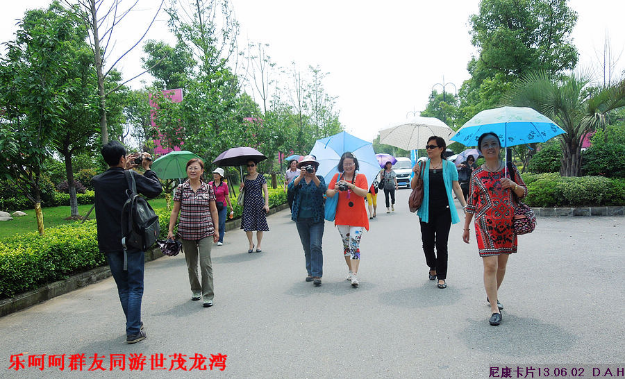 dscn9735.jpg