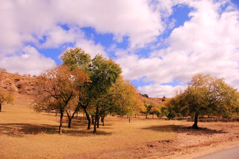 20121042441130053.jpg