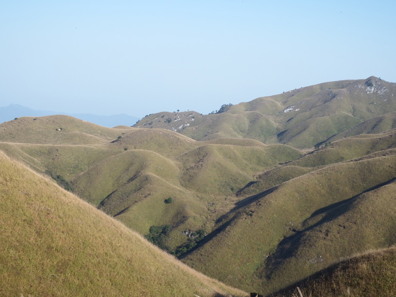 dscf1097.jpg