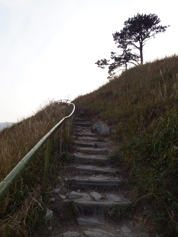 dscf1197.jpg
